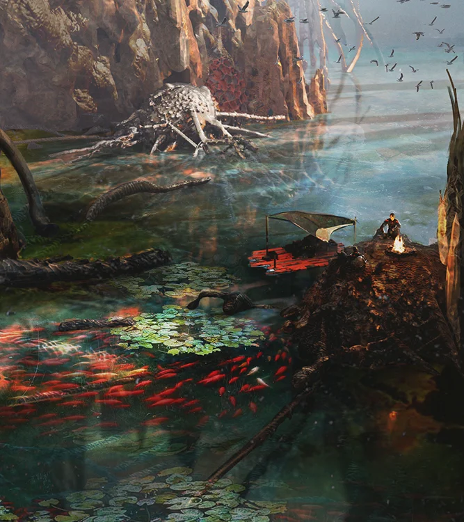 eleventh week's work